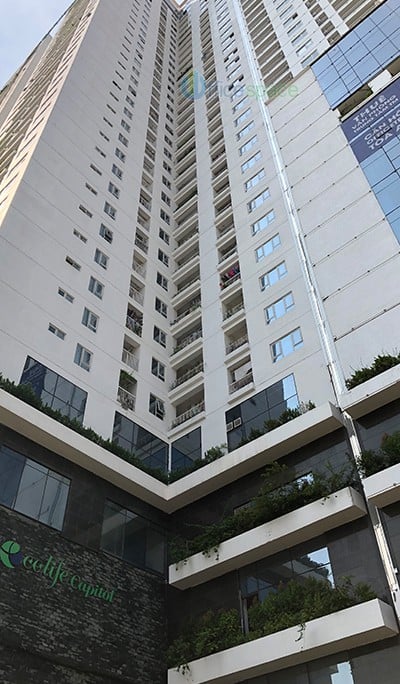 Ecolife Capitol Building