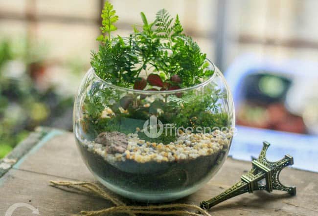 Hướng dẫn sắp xếp Link Vuaboss Sân chơi cá cược xanh chín bàn làm việc 3 Đồ Link Vuaboss Sân chơi cá cược xanh chín bàn làm việc