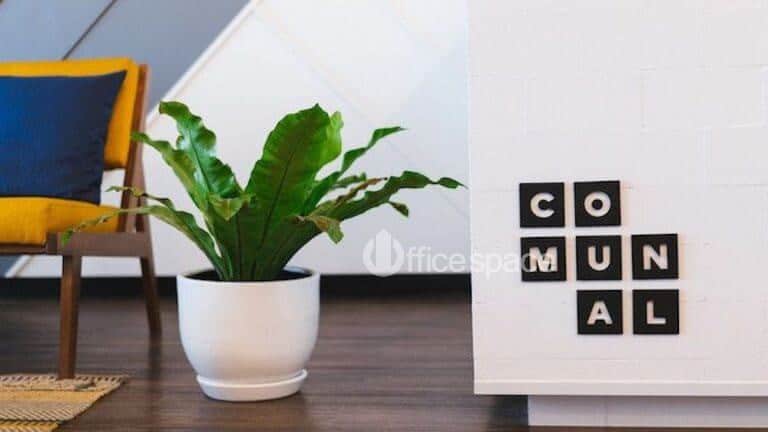 Sự khác biệt giữa Vuaboss đã ký Vuaboss có hợp pháp không CLB Barcelona chia sẻ và Coworking Spaces 2 Offficespace - Coworking space