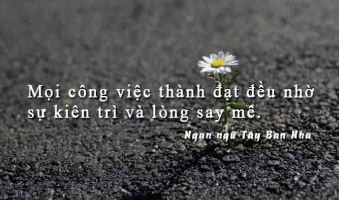 12 câu hỏi phỏng vấn thường gặp 6 12 câu hỏi phỏng vấn thường gặp 6