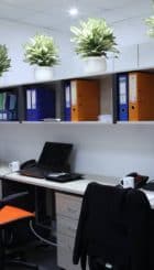 Vuaboss online link đăng ký Nguyễn Du Building
